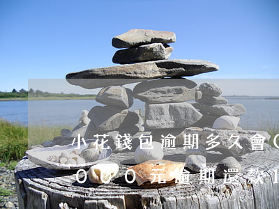 小花錢包逾期多久會(huì)起訴,欠17000元，逾期還款17000元，小花錢包是否會(huì)進(jìn)行法律訴訟？